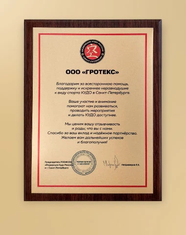 Photo Solopharm Supported the Regional Kudo Competition «The Bronze Horseman»